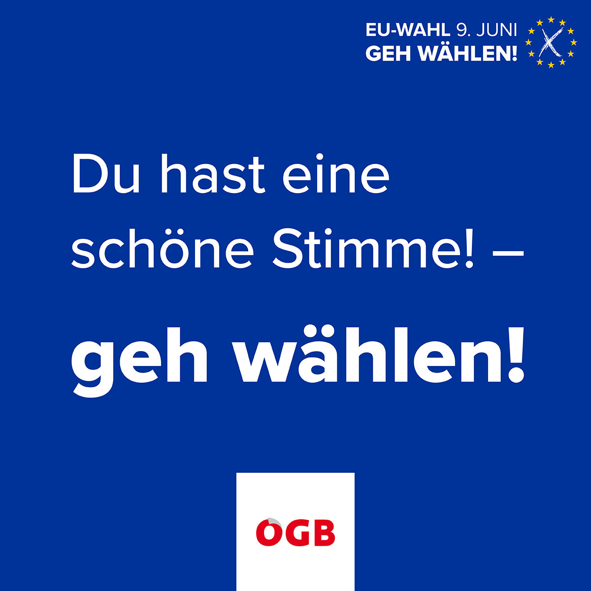 OEGB_EU-Wahl_Schoene Stimme_Geh Waehlen_SoMe_1zu1